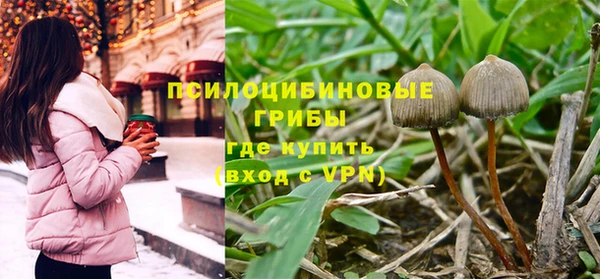 гидра Абаза