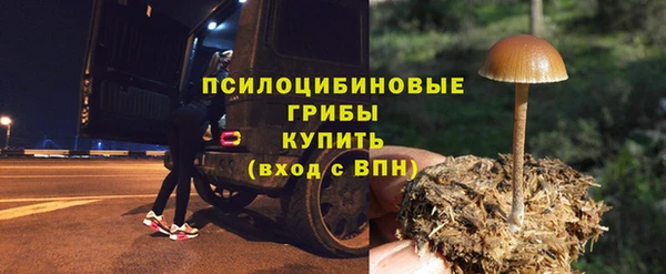 гидра Абаза