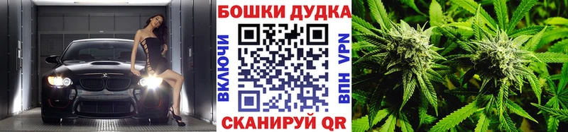 Конопля конопля купить наркотики сайты Алатырь